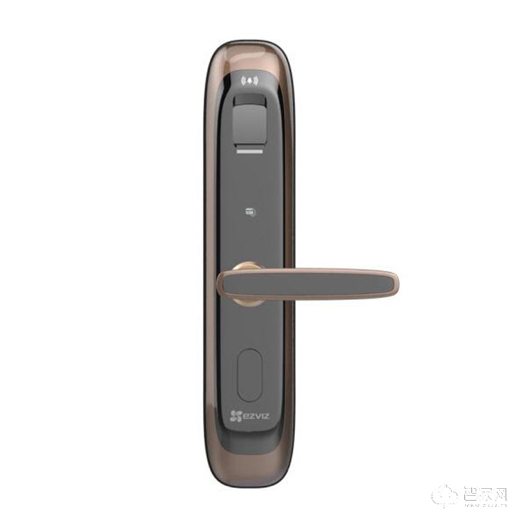 萤石智能家居家用互联网指纹密码锁 电子门锁智能门锁DL21S